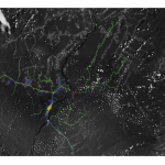 EQUIPE PROF(A). PAULO SOUZA DE OLIVEIRA EQUIPE PROF(A). PAULO SOUZA DE OLIVEIRA
